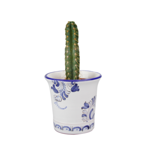 Cache-pot Cactus